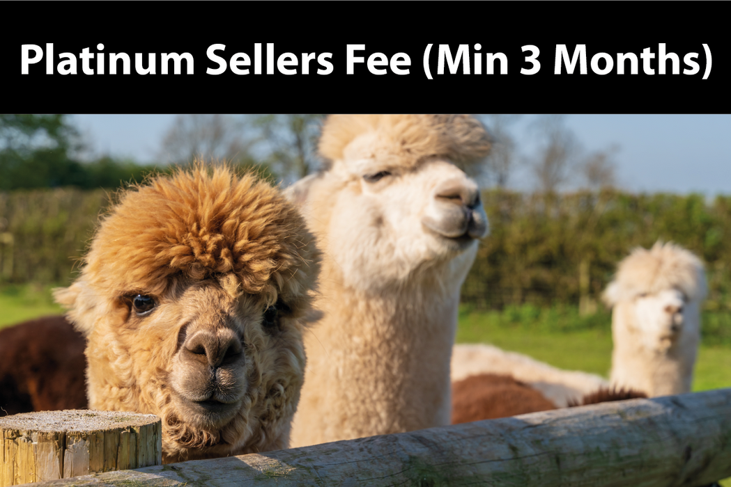 Platinum Sellers Subscription Fee 3 Months