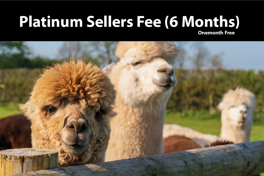 Platinum Sellers Subscription Fee 6 Months