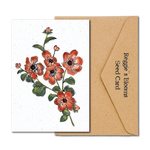 POPPIES WiLDFLOWER PLANTABLE SEED GREETING CARD