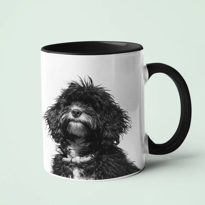 A House Is Not A Home Without A Dog Mug