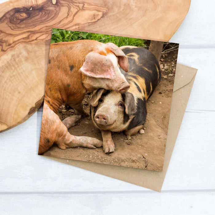 Happy Pigs Greeting Card