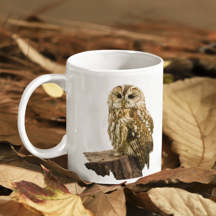 Tawny Owl Mug