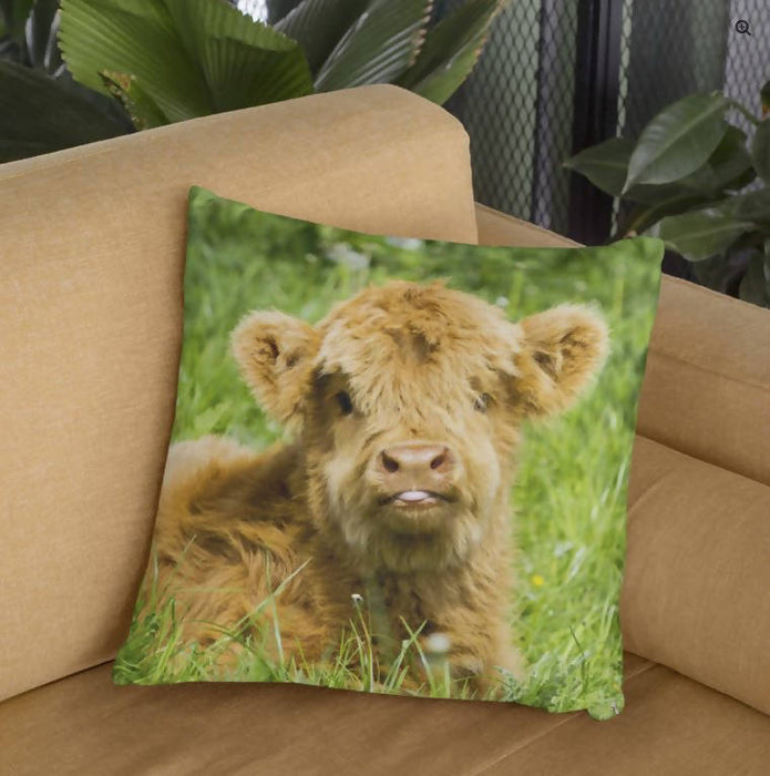 Cheeky Moo - Highland Cow Cushion