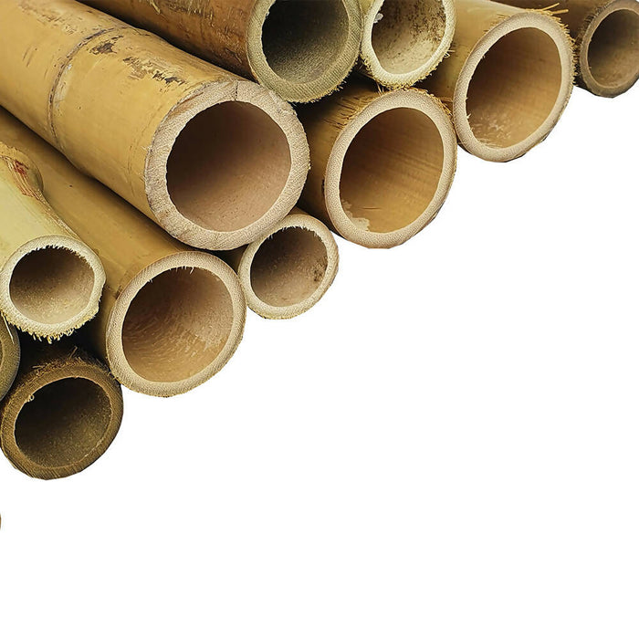 Pack of 12x 90cm Bamboo Poles (15/45mm diameter)