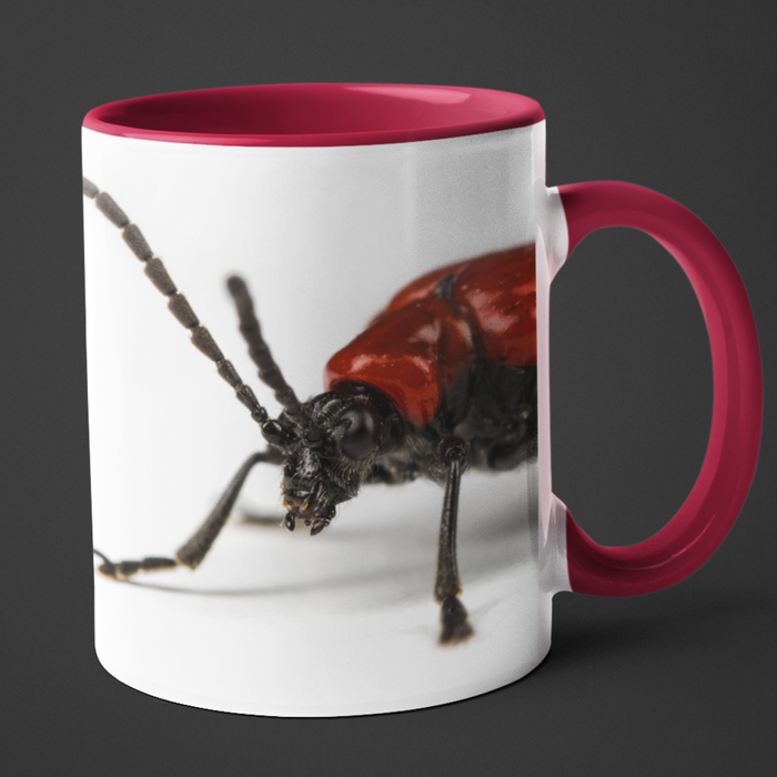 Red beetle mug