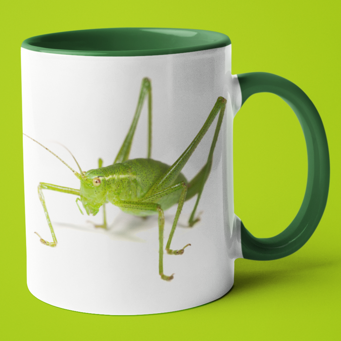 Cricket Insect Mug