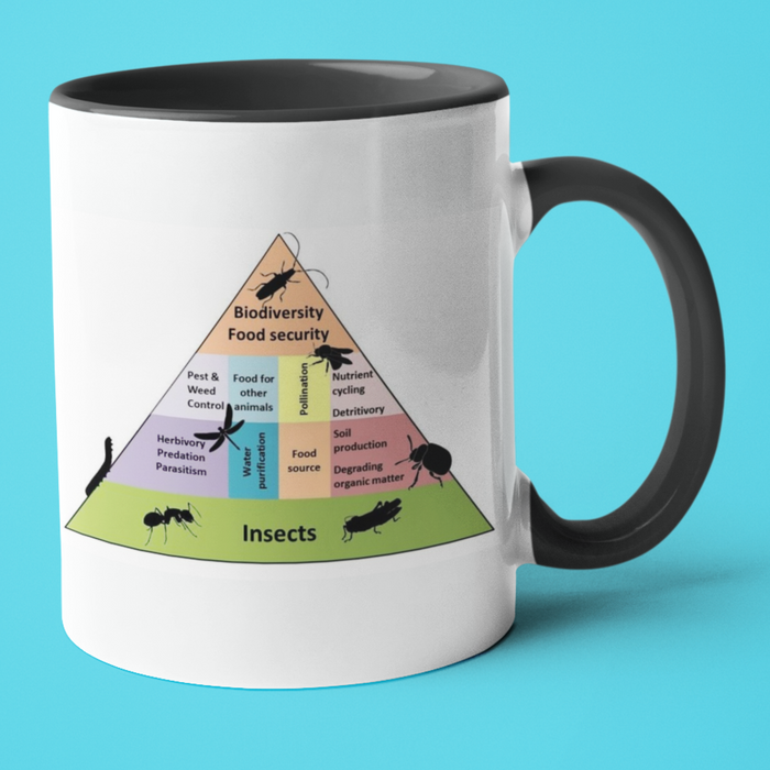 Biodiversity pyramid mug