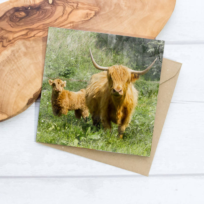 Mother and Calf Greeting Card