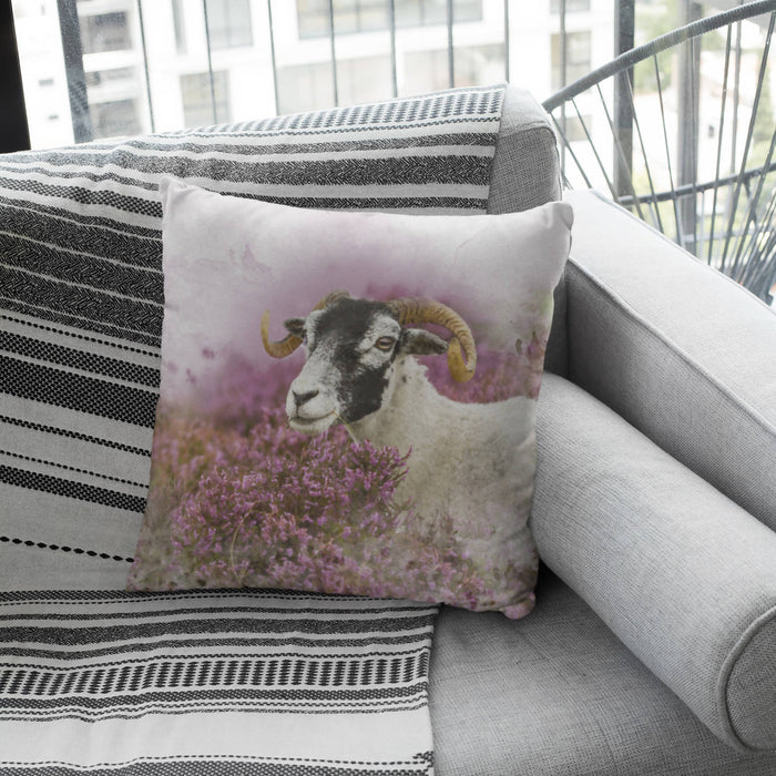 Swaledale Sheep in the Heather Cushion