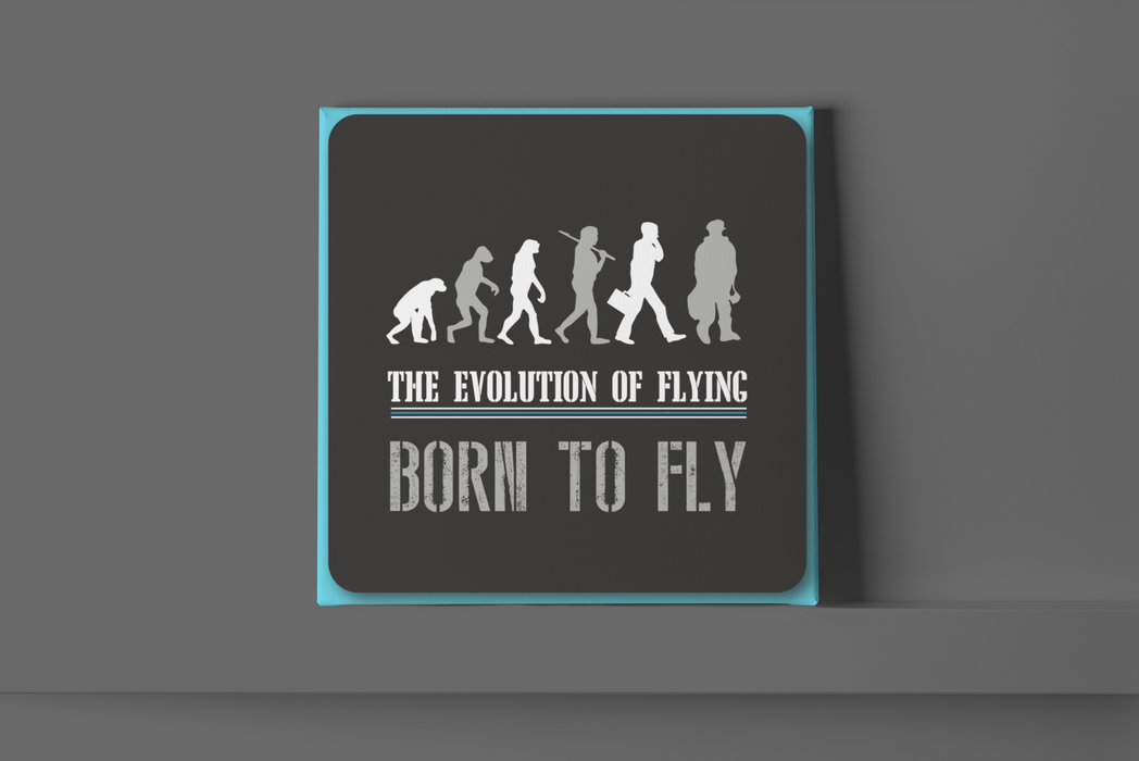 The Evolution of Flying, Born to Fly Metal Wall Sign