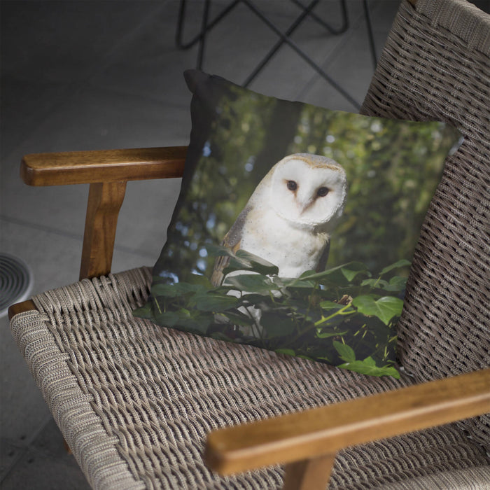Barn owl in Staffordshire woodland Cushion