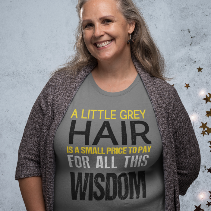 A Little Grey Hair is small price to pay for all this wisdom Humour T-shirt