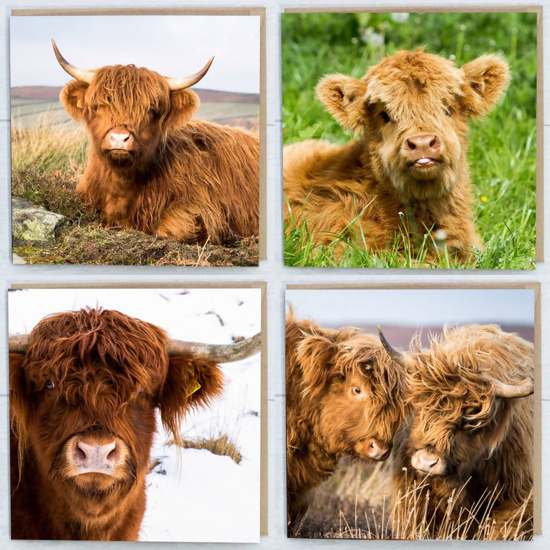 Highland Cow Collection Greeting Cards Pack